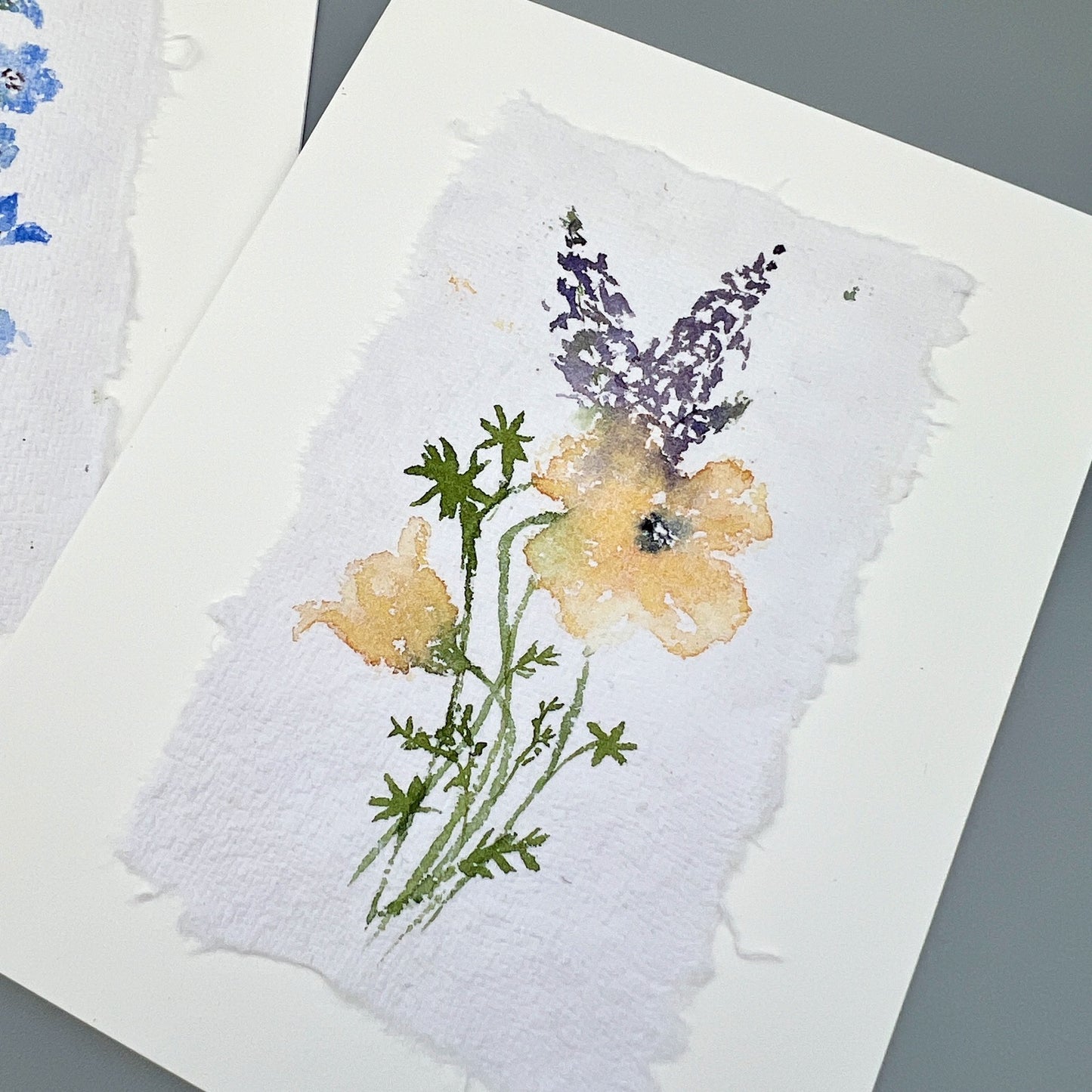 California Wildflowers - Hand-painted Greeting Cards - Original Watercolor Stationary
