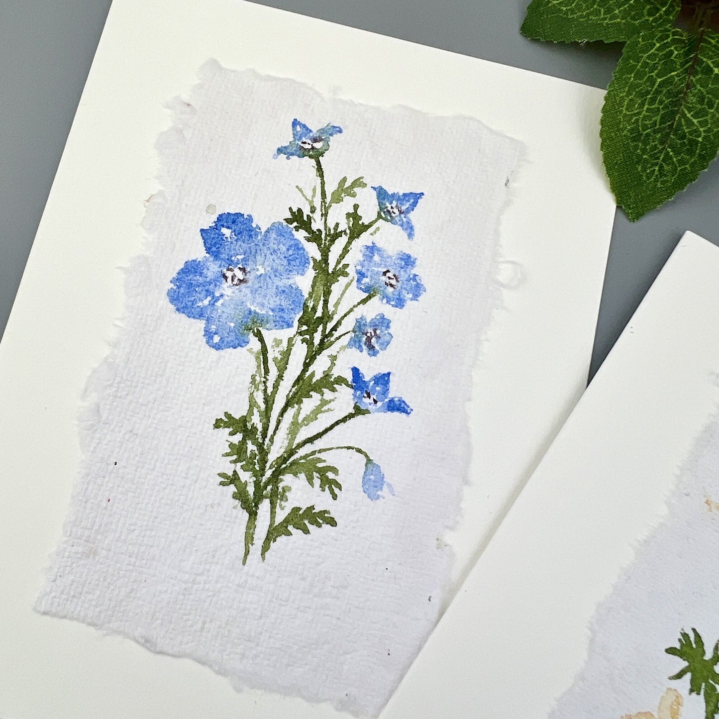 California Wildflowers - Hand-painted Greeting Cards - Original Watercolor Stationary